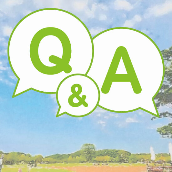 Q&A